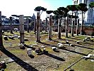 Trajan's Forum in Rome, central area, columns which historically formed the Basilica Ulpia, modern Italian Altare della Patria in background right.