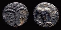 Judaea, 133-134 AD., Bar Kochba revolt, Ã† 24, Hendin 708.