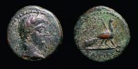 Samos in Ionia,   27 BC. - 14 AD., Augustus, Ã† 17, RPC 2681.