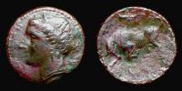 Syracuse in Sicily,     317-310 BC., Agathokles, Æ 20, Calciati 105.
