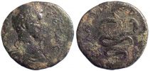 Kallatis in Moesia Inferior, 198-209 AD., Geta as Caesar, Moushmov 304.