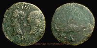 Nemausus in Gallia,   16-10 BC., Augustus, Dupondius, RPC 523.