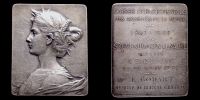 1905 AD., France, silvered Art Nouveau bronze plaquette, by medallist FÃ©lix Rasumny.