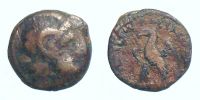 Paphos in Cyprus,    145-116 BC., Ptolemaios VIII Euergetes II, Ã† 15, Svoronos 1655.